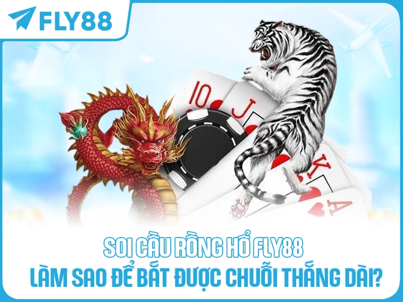Soi cầu Rồng Hổ FLY88