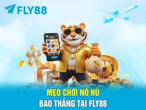    Mẹo chơi nổ hũ tại FLY88 bao thắng